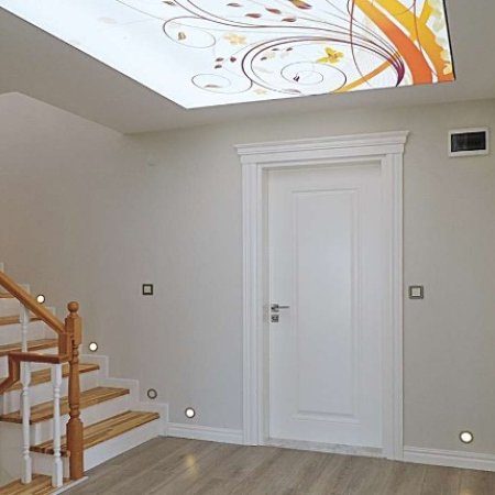 Yalova/Çiftlikköy İkiz Taş Konakları 1