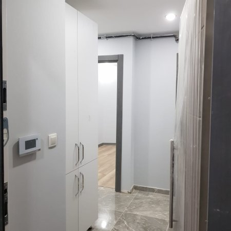 Yalova/Çiftlikköy İkiz Taş Konakları2