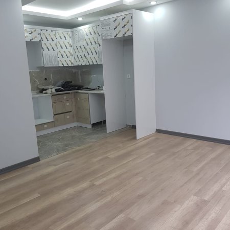 Yalova/Çiftlikköy İkiz Taş Konakları2