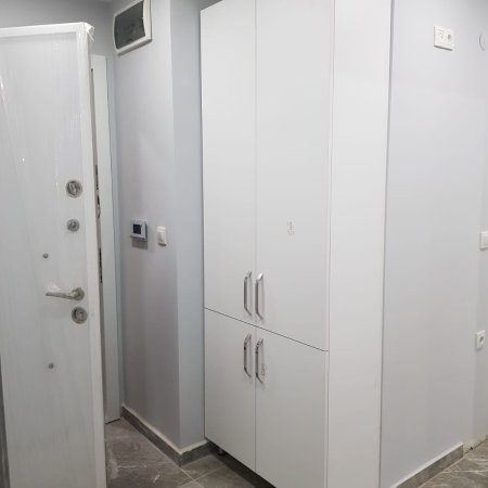 Yalova/Çiftlikköy İkiz Taş Konakları2